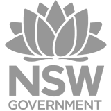 new government